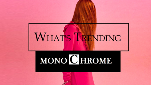 Monochrome The Trend